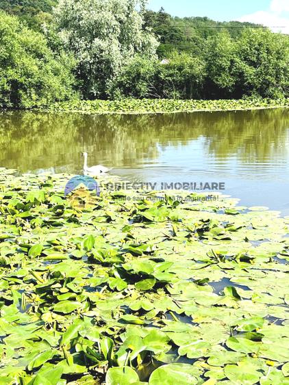 COMPLEX TURISTIC  comuna COSTISA - Afacere la cheie - 9