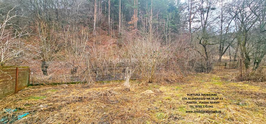 Casa+ Anexa + Teren 3506 mp, com.Alexandru cel Bun - 9