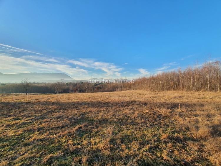 Teren intravilan Bran – Sohodol zona de case - 6