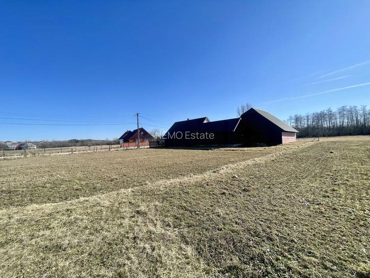 CASA RENOVATA + TEREN 3100 MP | CURTE SI GRADINA | FRATAUTII NOI - 26