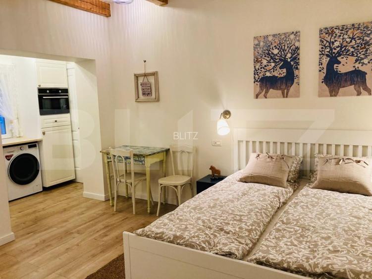 Investitie stabila in zona centrala – imobil pregatit pentru inchiriere, Horea  - 9