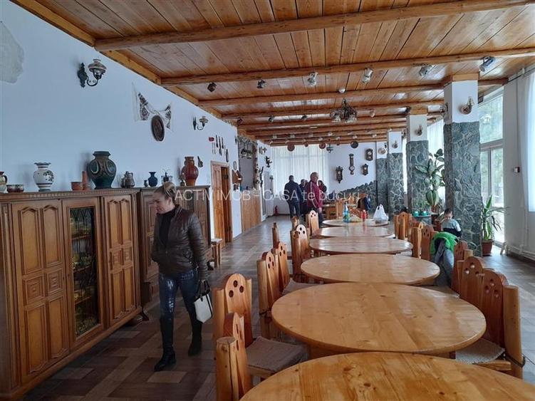 Trei Ape CS Pensiune la Munte Comis.ZERO Cump.si in Cryptomonede - 31