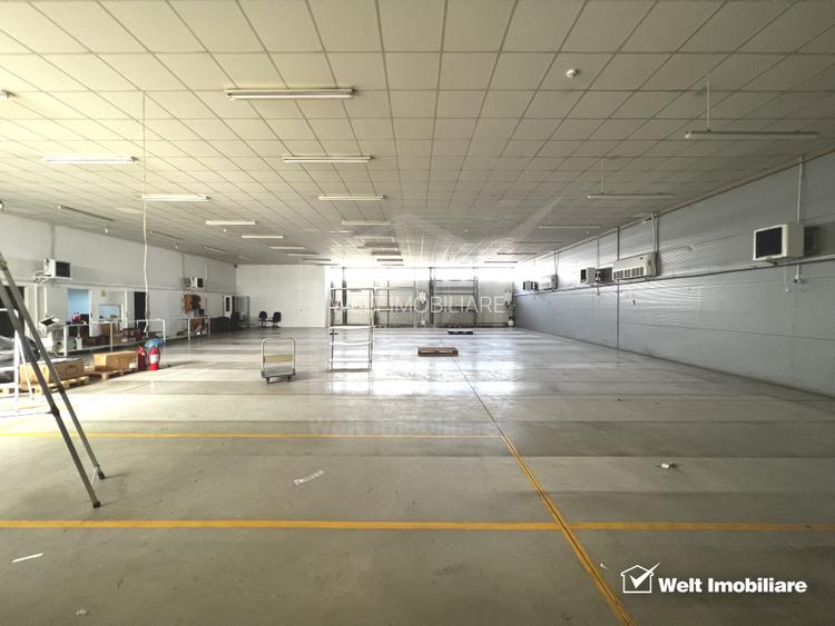 Depozit 600mp 2 rampe + birouri 180mp, 14 parcari, Lidl - Baciu - 2