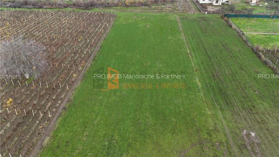 EXCLUSIVITATE! Teren intravilan in Merei Buzau - 3