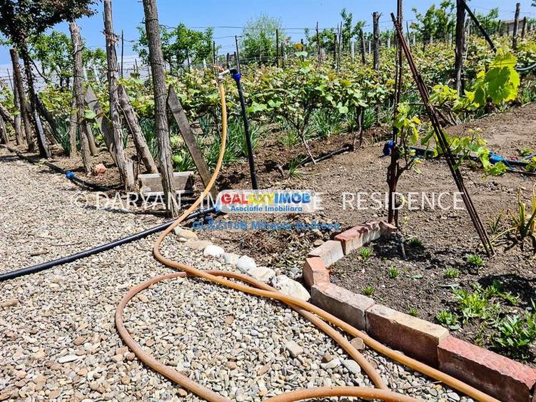 Teren in Poienari Apostoli, 21 E mp, Avantajos, DN1, 34.500 euro - 9