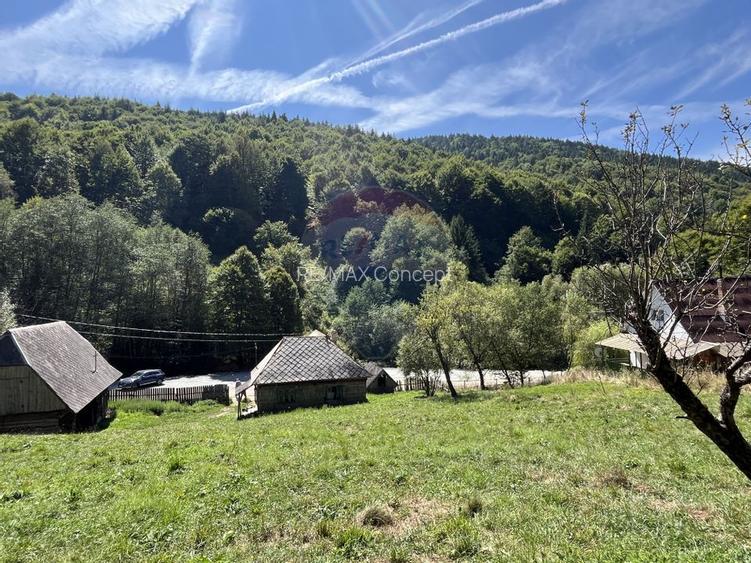 Teren de vanzare Rachitele | Investitie | Comision 0% - 4