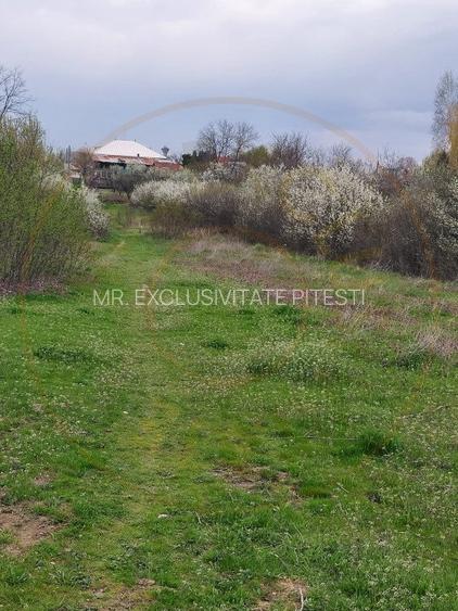 Teren Topoloveni - 3670 mp - langa padure, aproape de Centrul orasului - 3