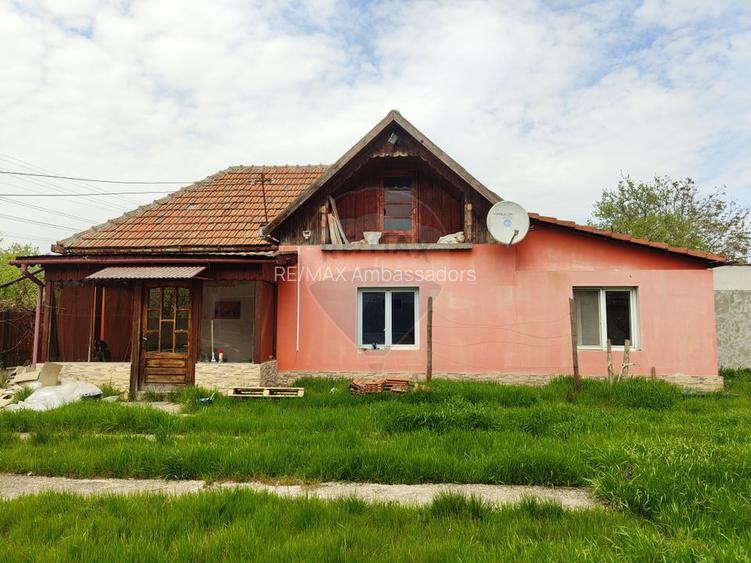 Casa de vanzare cu teren de 2175 mp,anexe si livada generoasa | Mailat - 23