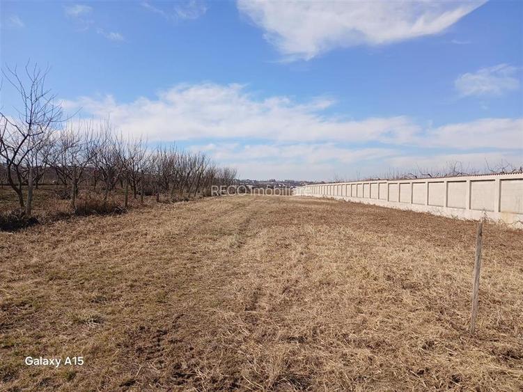 RECO TEREN INTRAVILAN IN PALEU - 2