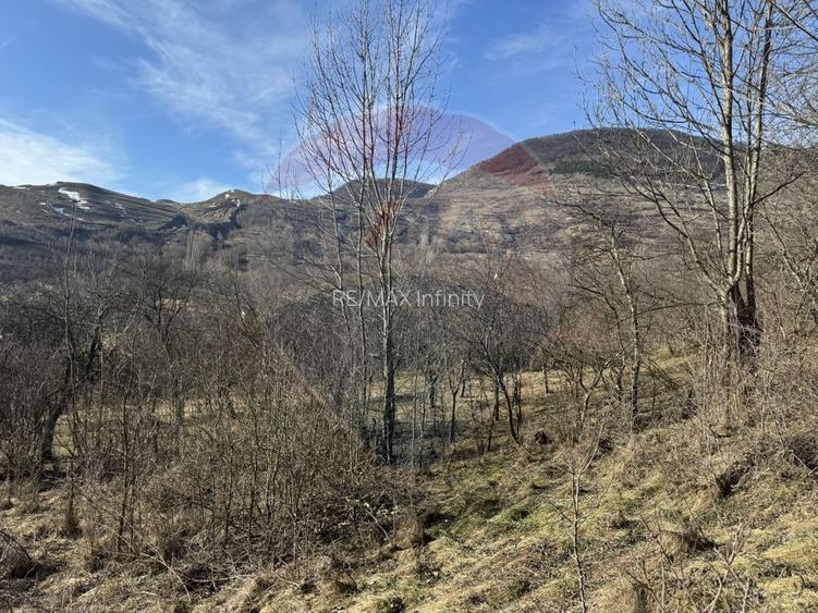 Casă din piatră la poalele Bedeleului – Izvoarele, Alba - 16