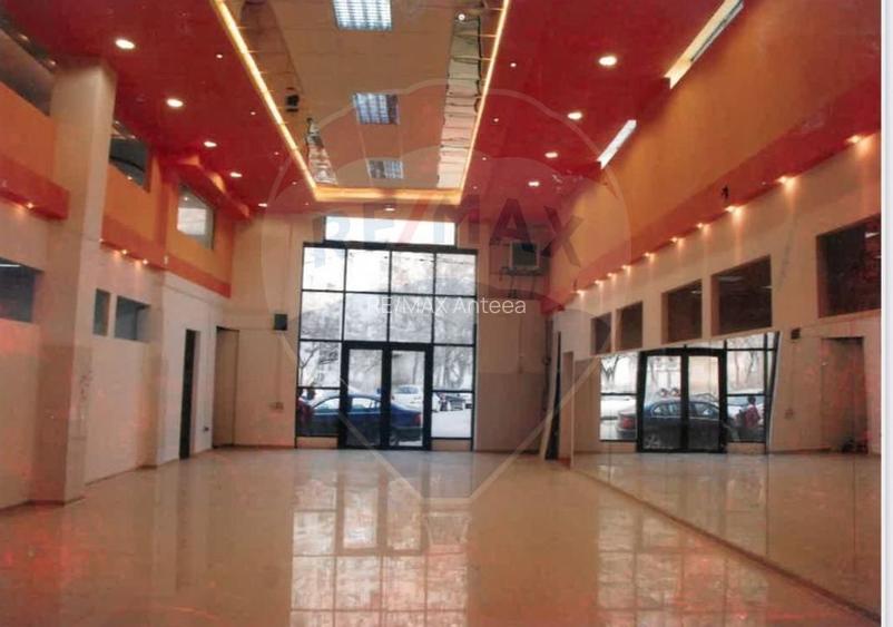 BEST DEAL! Energie gratis 250 mp Teiul Doamnei - 5