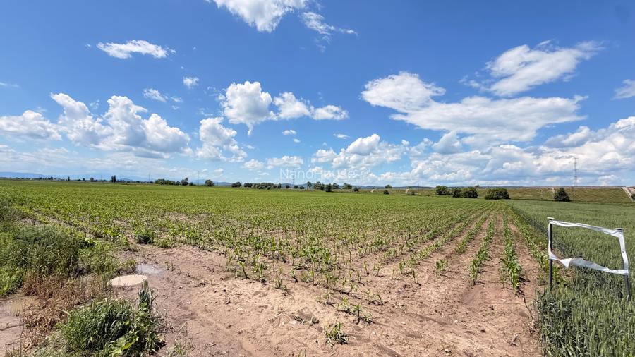 Teren 11.671 mp (2 loturi) la limita Brașov – Ozun | 4 €/mp | Investiție - 2