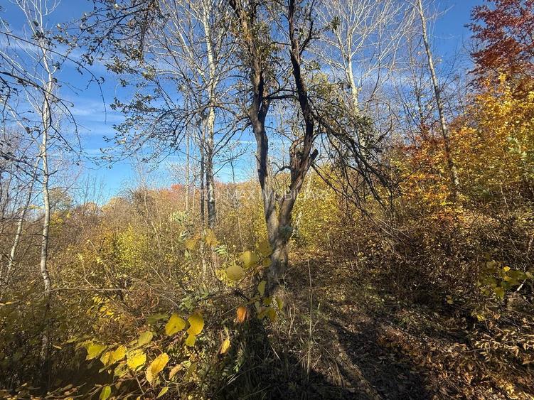 Teren langa pădure 6400mp+casa demolabila-deschidere 35 ml - 16