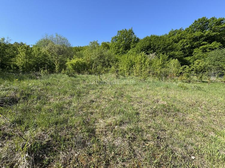Teren intravilan 800 mp în Corunca, zona pensiunea Korunca - 3