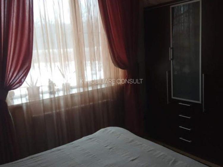 Ciopani vila 5 camere teren 4000 mp - 14