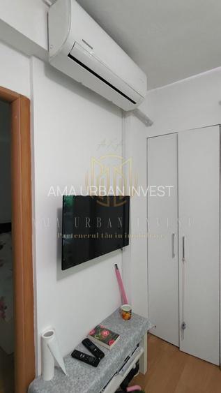 Teiul Doamnei 2 cam 35 mp SU ,cf 2 , an 1965, pet 63000 eur - 4