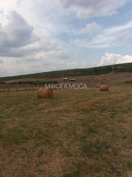 Teren intravilan Luna de Jos 9800 mp front la DJ 52,2 m - 3