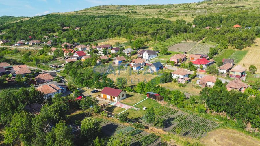Casa cu teren de 3100 mp de vanzare in comuna Cornesti - 14