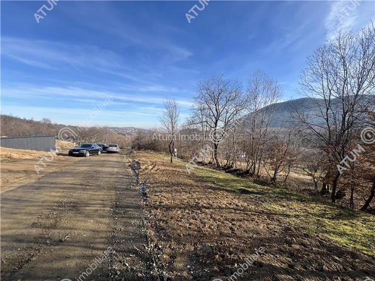 Teren intravilan de 1641 mp cu PUZ aprobat si utilitati in Cisnadioara - 17