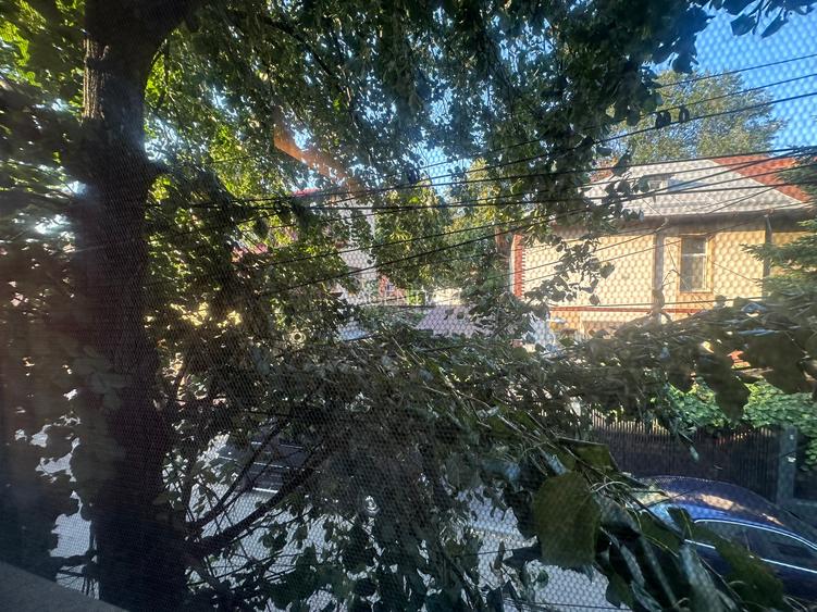 Casa p+1 + mansarda, 240mp utili, mobilata complet,singur curte, locuri parcare - 30