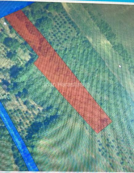 Oportunitate dezvoltare-teren  4300 mp, Captalan (Noslac), Alba - 3