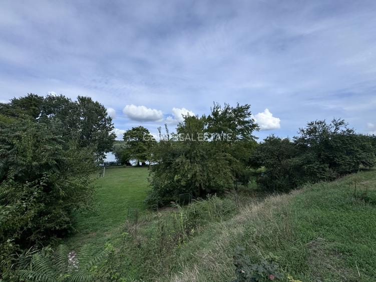 Hotel 25 camere 100 m deschidere DELTA DUNARII teren 12000 mp acces auto - 14