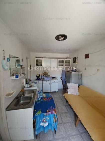 Gradina Mare Vila P+1 LA GRI 3 cam 186mp construiti teren 247 mp - 12