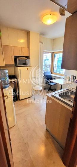 Birouri Piata Alba Iulia etaj 1 Decebal bloc nou - 8