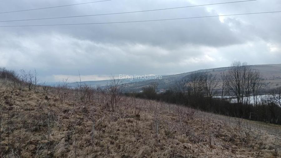 Teren Intravilan de vanzare Martinesti - 4