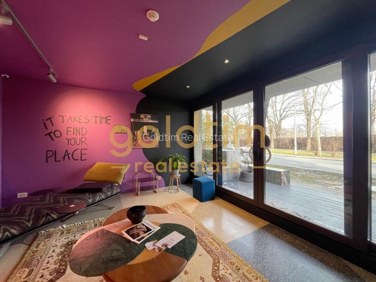 APARTAMENT UNIC/CONCEPT HOUSE/DESIGN/SERVICII HOTELIERECOMPLETE/PRIMAVERII - 52