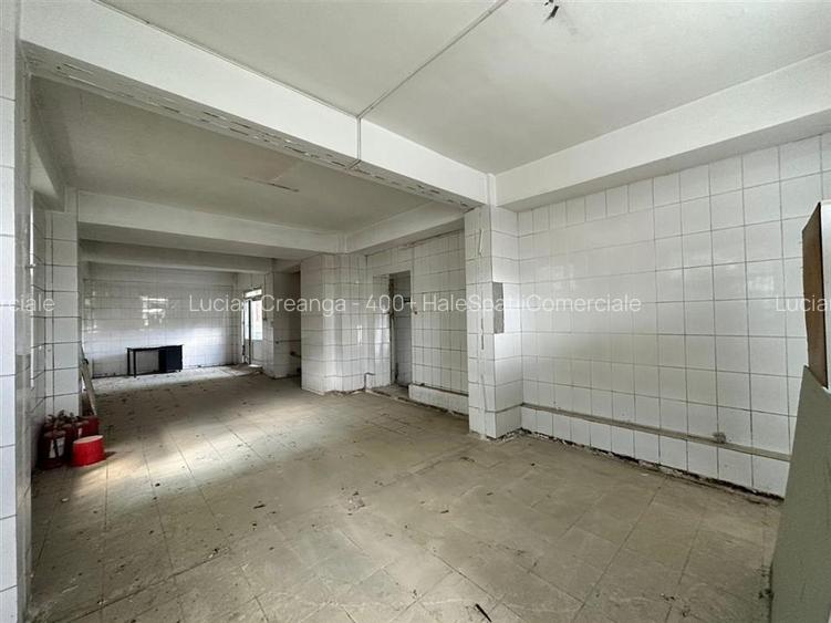 Spatii de la 401mp la 650mp, teren de la 699mp la 1400mp teren, DE - Podu Iloaie - 7