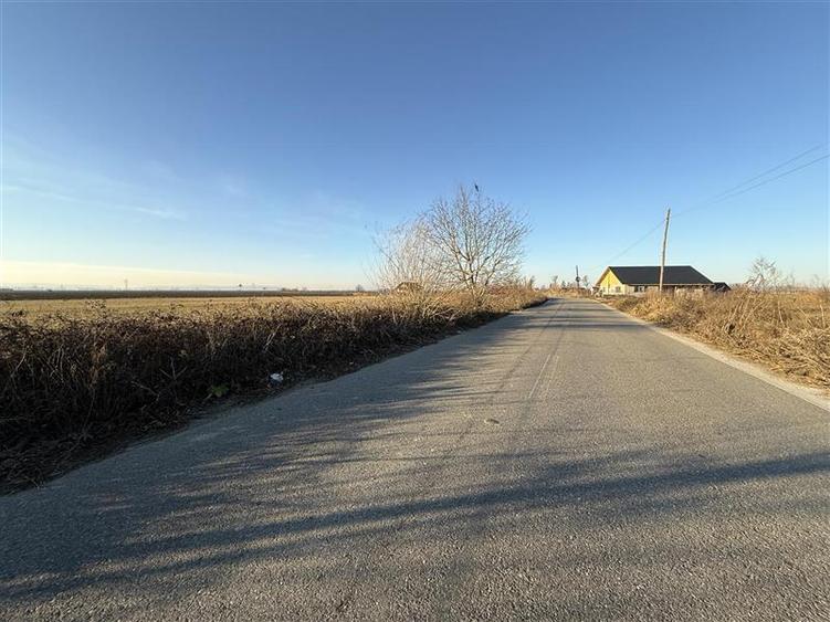 Letea Veche- Holt - 3.600mp - extravilan