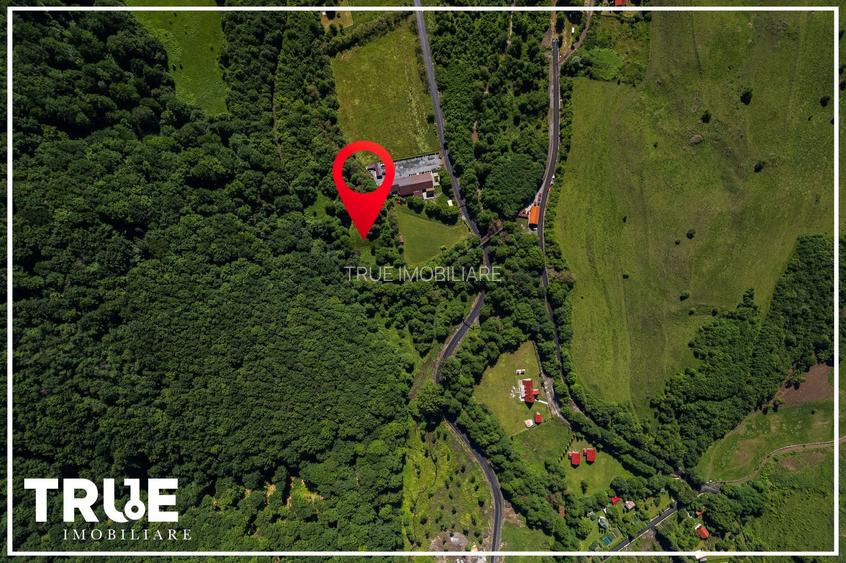 Teren intravilan 2.800 m² în Câmpu Cetății – liniște și natură - 20