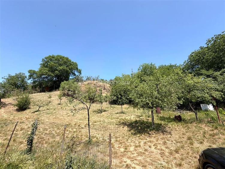 TEREN INTRAVILAN CU PIVNITA | 884 MP | ZONA EPISCOPIA | ORADEA - 9