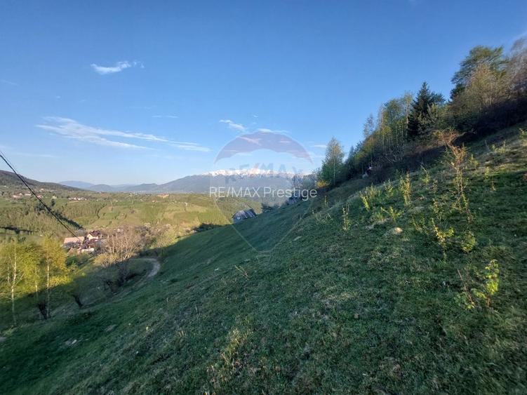 Teren Pestera 3423 mp/ cu acces din Strada Principala - 5