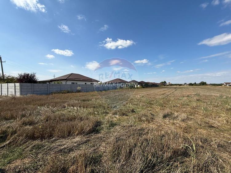 Vand teren intravilan 5000 mp in Sabareni - 9