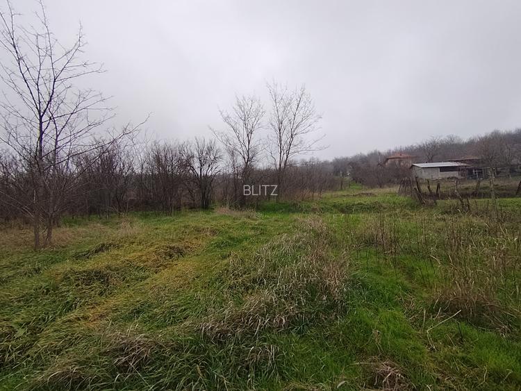 Teren intravilan, 2000 mp, zona Brestei - 4