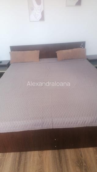 Ap. 2 cam semimobilat, bloc nou, first use, zona linistita, Hala Traian - 12