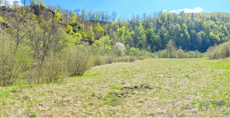 Vând teren intravilan Tarnița - Risca - Mărișel  jud. Cluj - 9