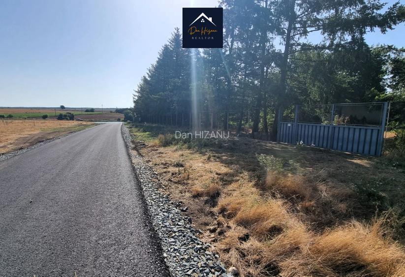 Casa | Piscina | Teren de tenis| Oaza de liniste | Belciugatele lac - 6