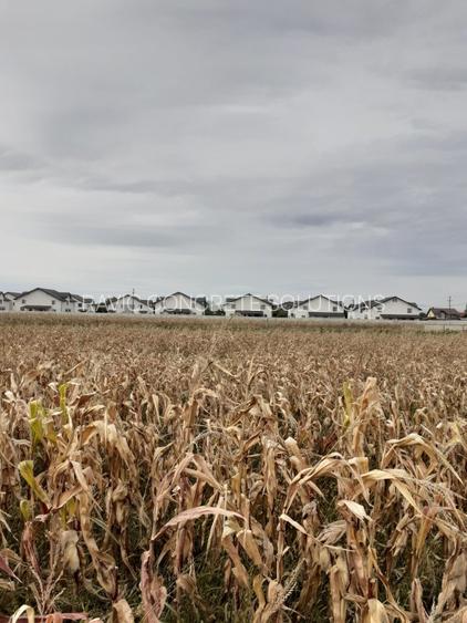 Vila Duplex deosebita, in Strejnic - 12