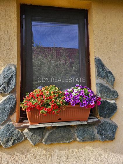 Vand casa 3 camere ARIUSD - 12