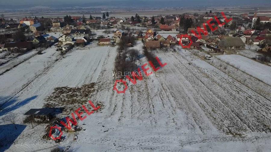 Teren intravilan de vânzare în Chichiș! - 4