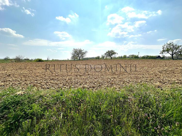 Teren Intravilan de Vânzare, Cetariu, 5450mp - 5