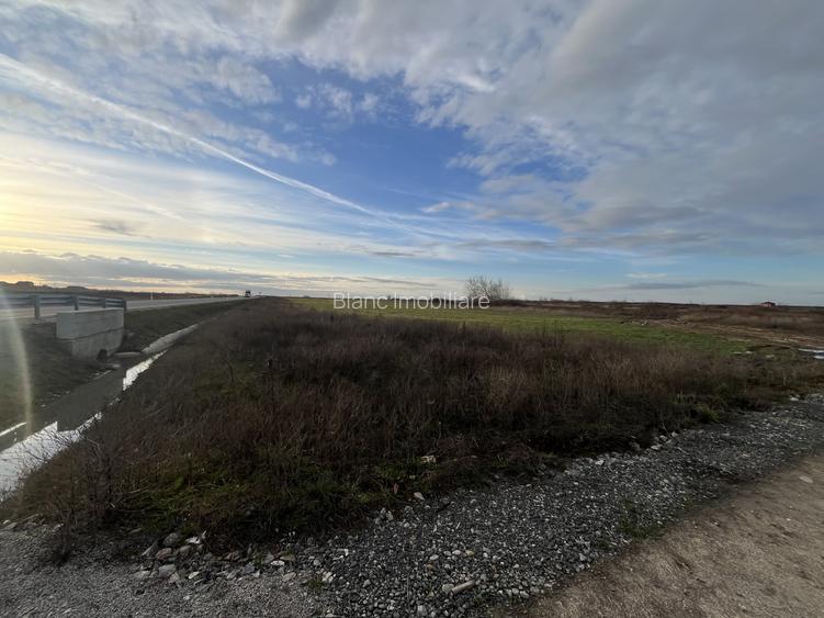 Oportunitate, 9196 mp, 30 euro/mp, 187,78 m deschidere la inelul metropolitan - 4