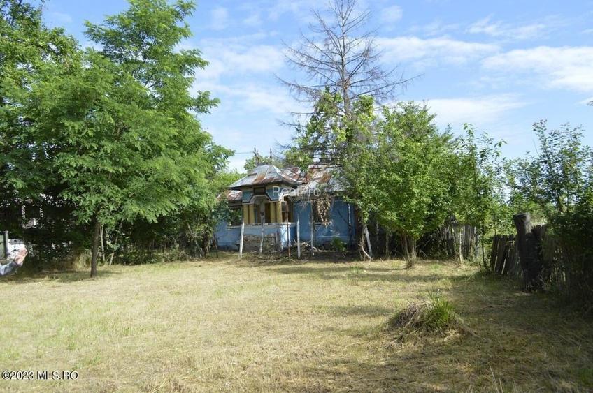 Suseni - Teren intravilan cu casa batraneasca, plan, suprafata 4700 mp! - 6