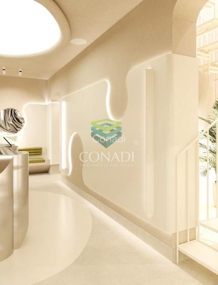 Piata Victoriei, imobil cu 5 camere de inchiriat, 214 mp construiti - 2