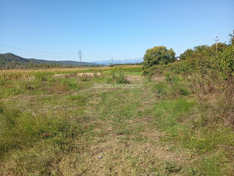 Teren 5 ha arabil Mihaesti – cadastru, intabulare, acte la zi - 4
