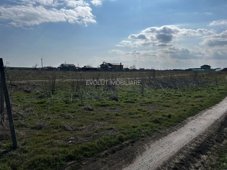 vânzare doua loturi Teren intravilan  – Techirghiol - 3