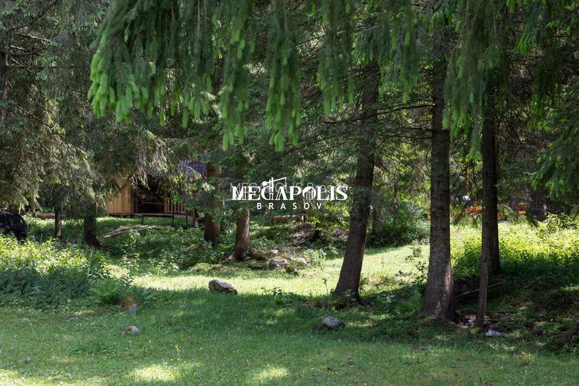 Pretabil Hotel,Pensiune,Case de Vacanta/Utilitati/PUZ - 7